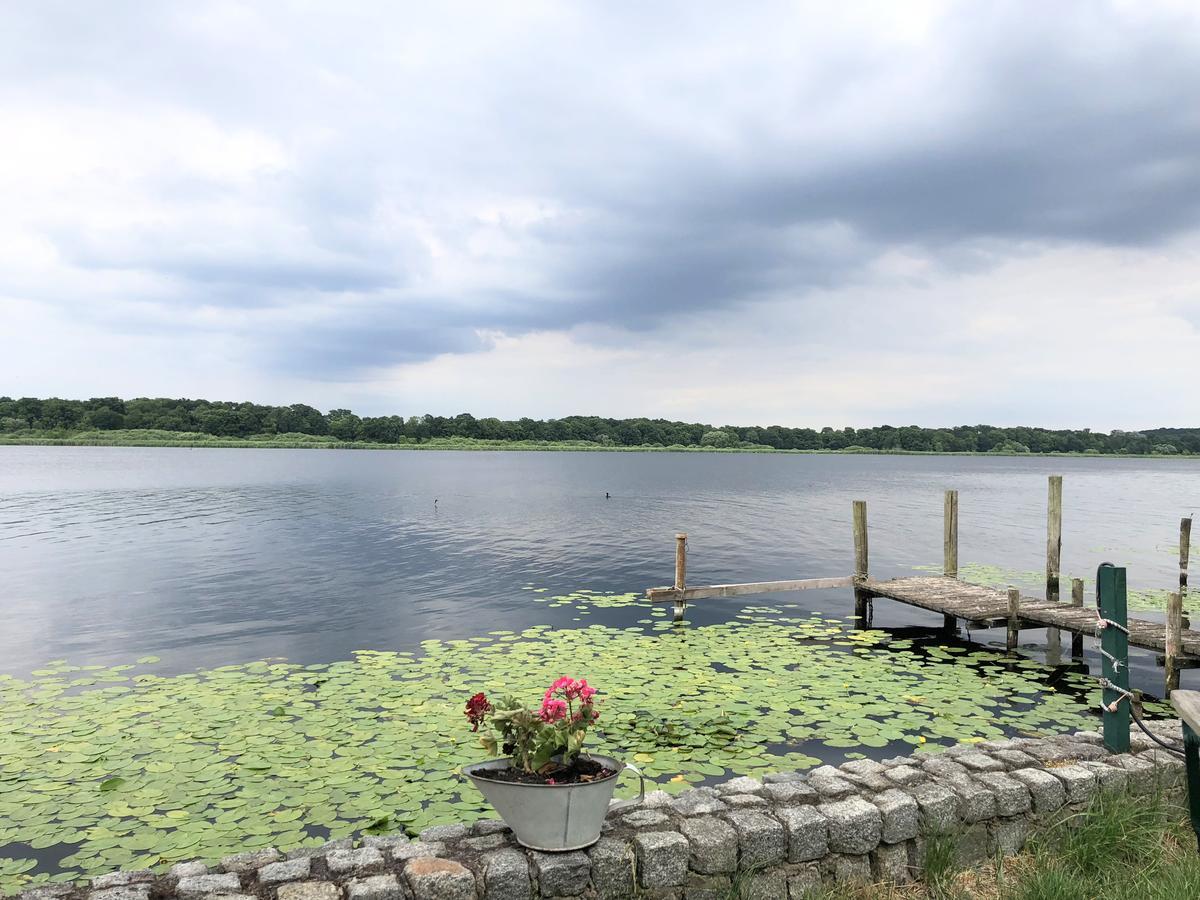 Ferienwohnung Auf Der Insel Werder  Kültér fotó